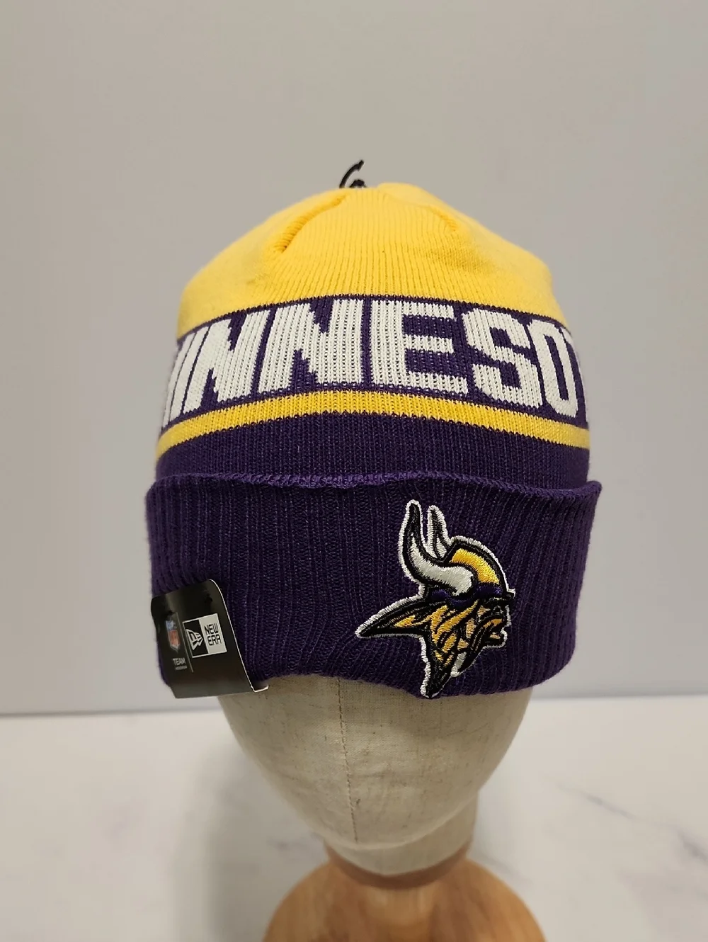 Minnesota  Vikings NFL Winter Hat Brand New